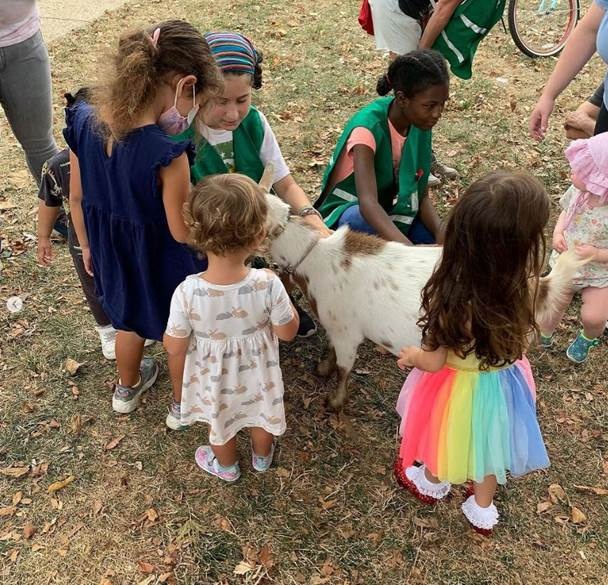 Group of children standing around and petting a goat
