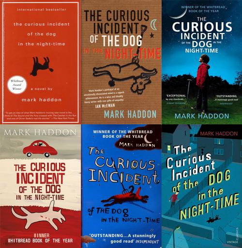 Critics' blurbs for The Curious Incident of the Dog in the Night-Time