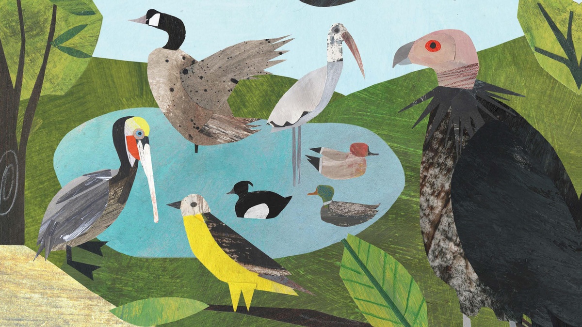 Interior illustration from <i>Counting Birds</i> by Clover Robin
