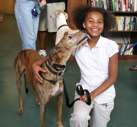 One of the greyhounds kisses a library patron