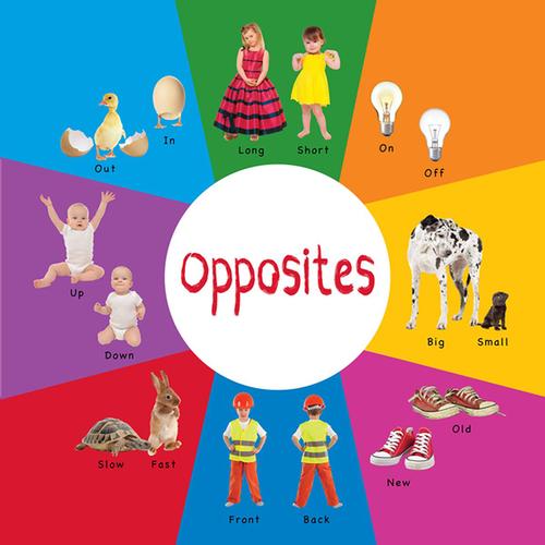 Concept books about opposites teach preschoolers to recognize and identify size (big/small), spatial relationships (over/under), and even emotions (happy/sad).