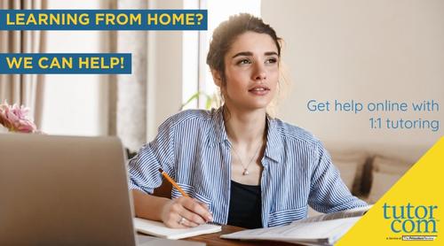 free homework help online chat