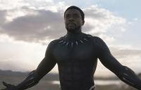 Chadwick Boseman stars as  T'Challa / Black Panther