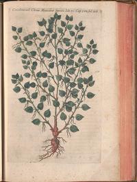 From the In Our Nature: Flora and Fauna of the Americas exhibitionon display in our Rare Book Department's Dietrich Gallery, April 9 through September 15, 2018.