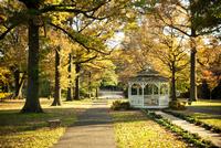 Embedded in our city is beautiful Fairmount Park, accessible by public transit.