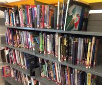 Just a small selection of the comics and graphic novels available in Philbrick Hall at Parkway Central Library.