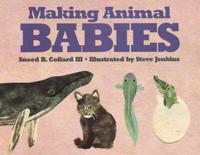 Making Animal Babies by Sneed B. Collard, illustrated by Steve Jenkins