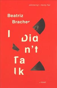 I Didn’t Talk by Beatriz Bracher
