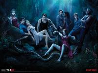 True Blood Cast © HBO